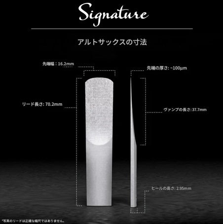 レジェールリード アルトサックス シグネチャーシリーズ