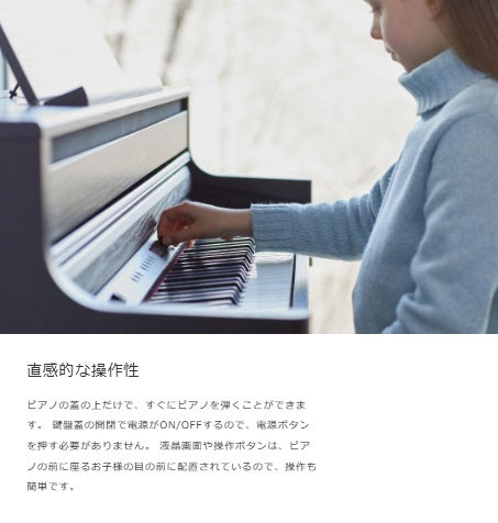 Roland ローランド 電子ピアノ　HP702LAS【組立設置配送】