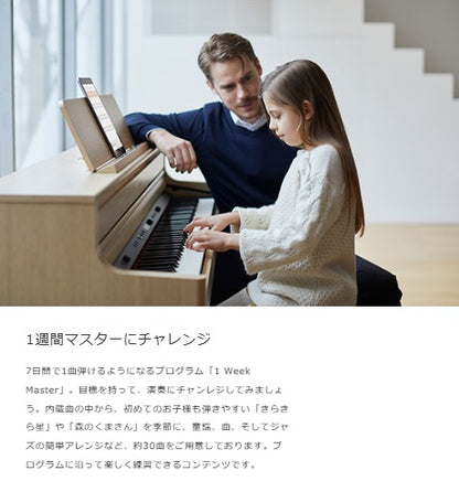 Roland ローランド 電子ピアノ　HP702LAS【組立設置配送】